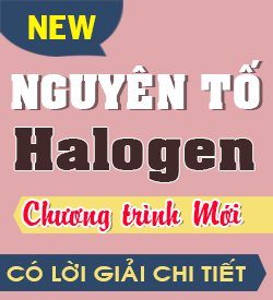 Nguyên tố Nhóm Halogen (KNTT_10)